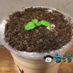 【斜角巷】台湾のおもしろドリンク、盆栽ミルクティーを飲んでみた