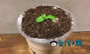【斜角巷】台湾のおもしろドリンク、盆栽ミルクティーを飲んでみた