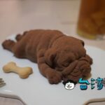 【耕者有其甜】リアル過ぎて食べられない! 本物そっくりワンちゃんケーキ