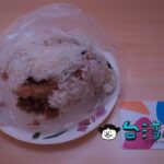 【樂業路素食飯糰】早朝から行列のできる台中の台湾式おにぎり屋台