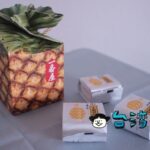 【一番屋】4種類のフレーバーが楽しめるお茶さんのパイナップルケーキ
