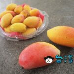 台北の路上で枇杷芒果を売っていたのでついつい買ってしまいました