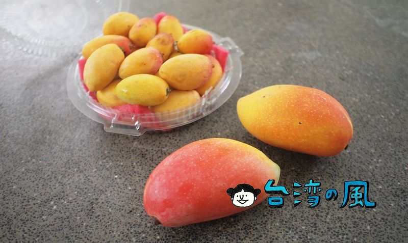 台北の路上で枇杷芒果を売っていたのでついつい買ってしまいました