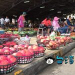 マンゴー好きなら「マンゴーの故郷」玉井に行ってみよう！