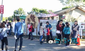 眷村をリノベーションした台中のおすすめスポット「光復新村」