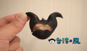 【古早味番仔豆】まるで悪魔の実!? 豐原廟東夜市で菱角を買ってみた