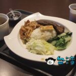 【禾記嫩骨飯】ホロホロに煮込まれた豚アバラ軟骨が美味しい嫩骨飯!