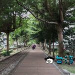 【cheela 小屋】裏庭が旧鉄道に繋がっている台東の小さなカフェ
