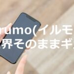 irumo(イルモ)でドコモの「世界そのままギガ」を使う方法