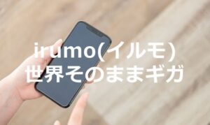 irumo（イルモ）でドコモの「世界そのままギガ」を使う方法