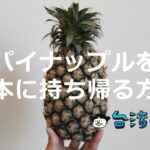 台湾のパイナップルを日本に持って帰る方法