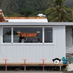 【TUESDAY COFFEE TO GO】月曜日に続いて火曜日? 金樽漁港のコーヒースタンド