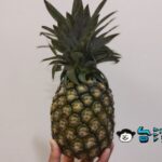台東の全聯(PX Mart)で牛奶鳳梨を見つけたので買ってみました
